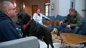 Service dogs helping veterans and first responders cope with PTSD