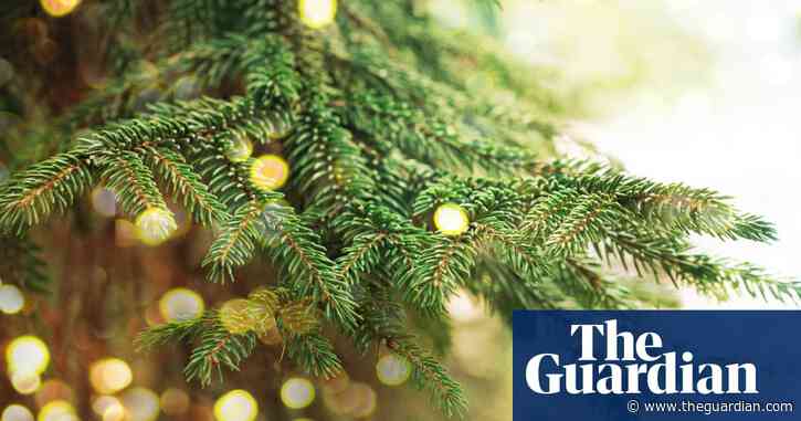 Christmas tree lights bought online could pose fire hazard