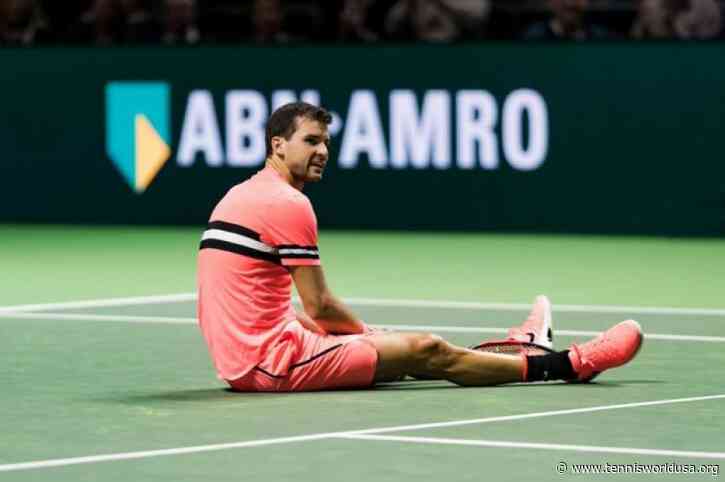 Grigor Dimitrov to Play in ATP Rotterdam Event in February