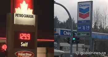 Furious over high gas prices, Powell River, B.C., residents pack town hall seeking answers