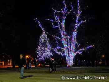 Tree-lighting ceremony at Ottawa Park is light work
