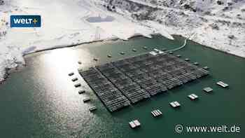 Tote Tiere, Gift-Schrott, Sondermüll – die Schattenseiten der Energiewende