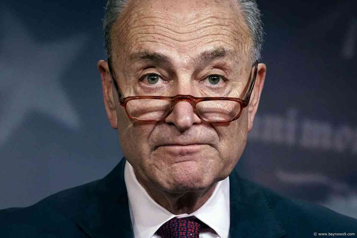 Senate Impeachment Trial in Focus Ahead of House Vote