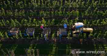 Will AI Take Your Job—or Make It Better?