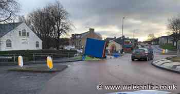 Children's Christmas wishes come true as sprouts spill from lorry