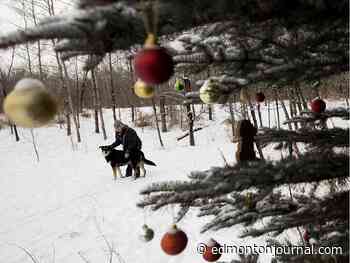 Edmonton weather: Light snow today gives way to warm week
