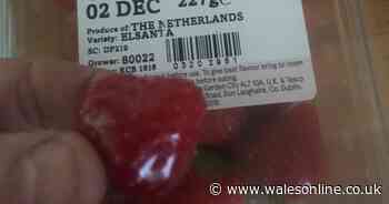 Tesco shopper 'outraged' after being told she can't return anymore mouldy strawberries
