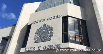 Paedophile subjected young girls to years of abuse to 'satisfy sexual urges'