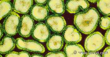 This Year's Flu Season Is Off to a Weird (and Early) Start