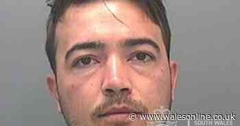 Gang claimed to be from social services then robbed 85-year-old wheelchair-bound victim