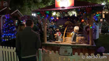 A Holiday Wonderland the Bay Area!