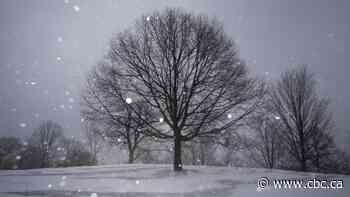 Will Toronto have a white Christmas? Our meteorologist says: likely