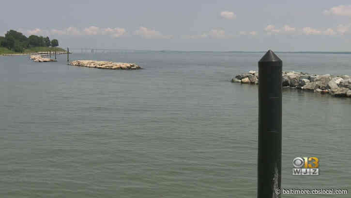 Gov. Larry Hogan Urging President Trump To Stop Firm From Fishing In Chesapeake Bay