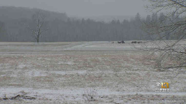 Maryland Weather: Freezing Rain Might Lead To Ice Problem Overnight