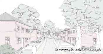 New housing estate on derelict Newcastle hospital site set to be approved despite tree felling fears