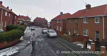 Delivery man run down by his own van as he stopped to deliver parcels in Northumberland