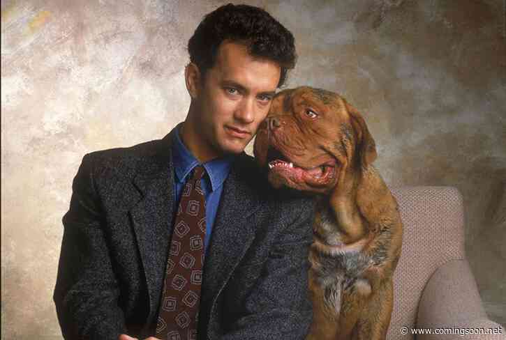 Disney+ Developing Turner & Hooch TV Series