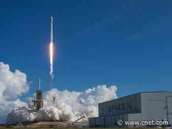 SpaceX launch: Watch live as SpaceX attempts to catch Falcon 9 nose cone     - CNET