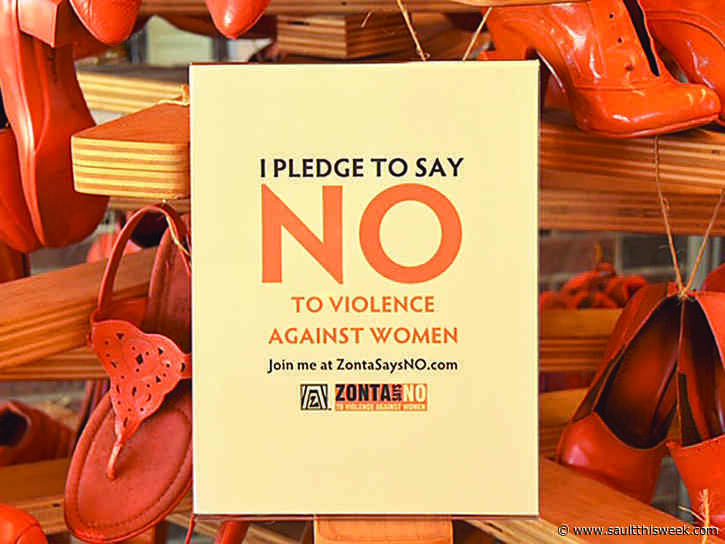 Zonta works to see the end of family violence