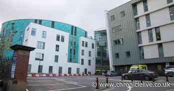 Elderly woman fighting for her life after being hit by bus in Sunderland