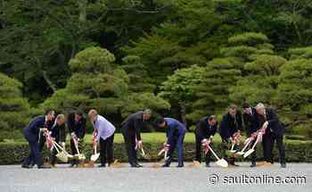Green economy think tank gives thumbs up to tree planting promise