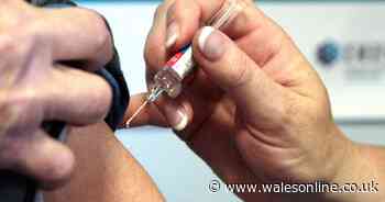 Easy steps to prevent you from catching the flu this year