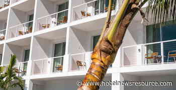Sarasota Modern Hotel to Join Latitudes Collection