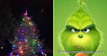 Forest managers labelled 'The Grinch' after calling police on villagers who claimed Christmas tree