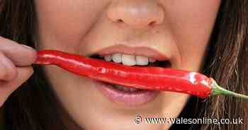 Eating chilli peppers 'could lower risk of a fatal heart attack'