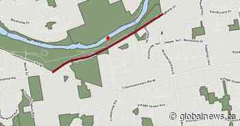 Forestry work closes portion of Springbank Drive in west London