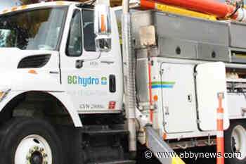 Itchy bears, rogue balloons and a nosy neighbour: B.C’s most memorable power outages of 2019