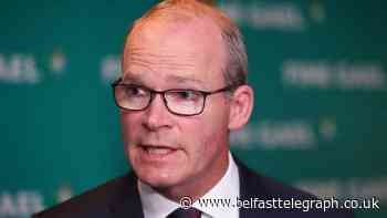Citizenship campaigner should not have to go to court to assert right – Coveney