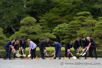 Green economy think tank gives thumbs up to fed’s tree planting promise