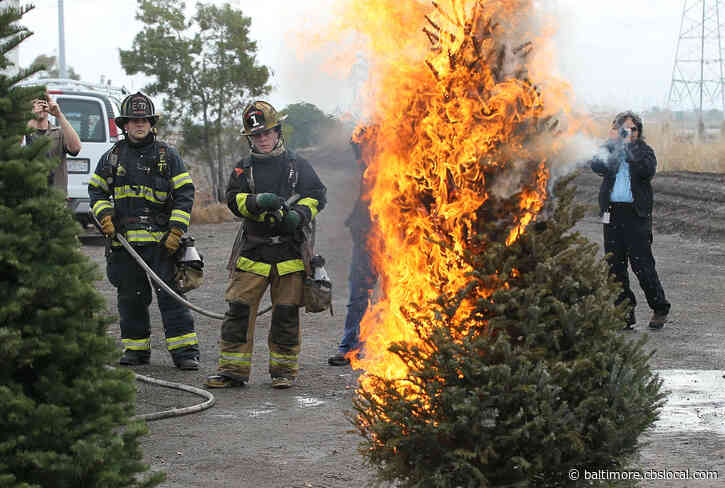 1 In 4 Christmas Tree Fires Happen Because Its Too Close To A Heat Source, Officials Say