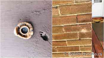 'It was horrifying': Shooting outside Toronto Airbnb leaves community on edge