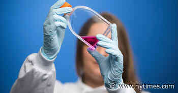 Men Call Their Own Research ‘Excellent’