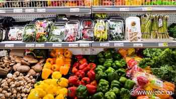 Majority of Canadians think food prices rising faster than household income