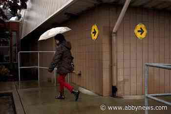 Permanent residents in B.C. should be able to vote, group says