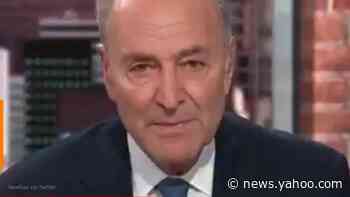 Schumer: Having Hunter Biden testify would make impeachment trial a 'circus'