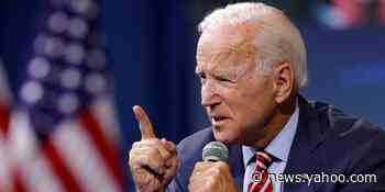 Biden saying he&#39;d only serve one term would be an Election Day risk with little reward, new Insider poll shows