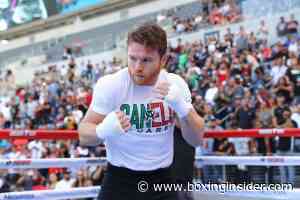 Canelo Alvarez Vacates WBO Light Heavyweight Title