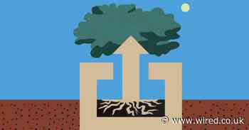 From speedy trees to gene drives, biohackers can save the planet