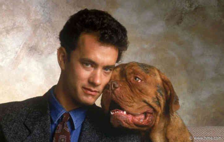 ‘Turner & Hooch’ is set to be the latest Disney+ reboot