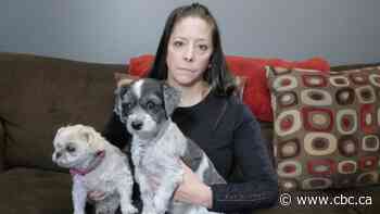 Ontario woman feels abandoned by pet insurer she's paid $30K after coverage on elderly dog drops 30%