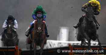 Coral Welsh Grand National will play to Truckers Lodge's strengths, says Paul Nicholls