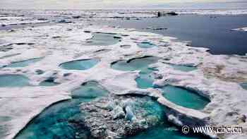 Feds return $430M to oil and gas companies ahead of Arctic offshore exploration ban