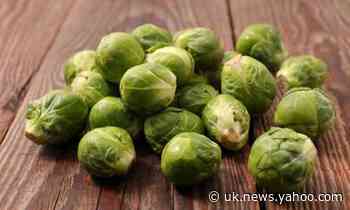 From election gloom good news sprouts