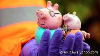 Peppa Pig toys among unusual items flushed down toilet, water firm reveals