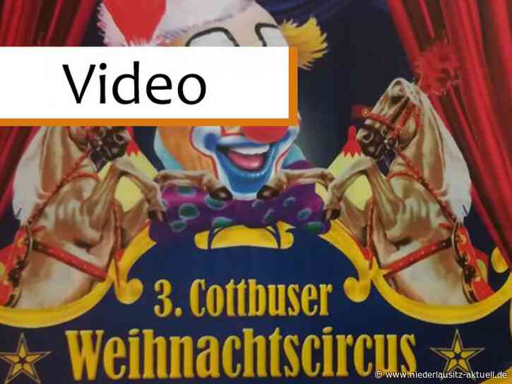 Cottbuser Weihnachtszirkus Erleben Und Tafel Unterstutzen