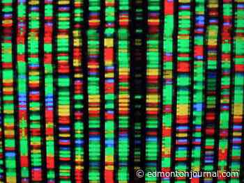 DNA is not your destiny: University of Alberta study does the math